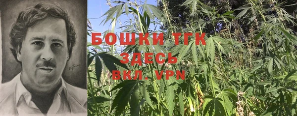 бошки Кодинск
