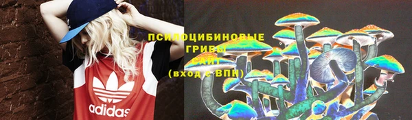 бошки Кодинск