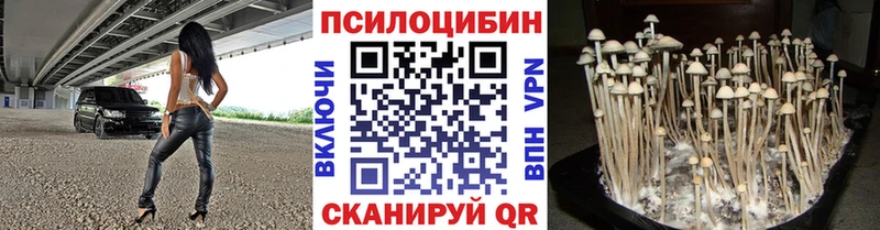 Псилоцибиновые грибы MAGIC MUSHROOMS  Купить  Добрянка 